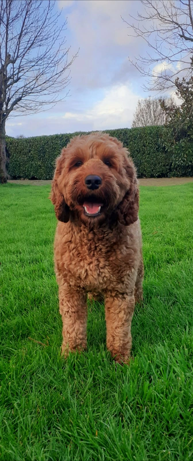 Ruby